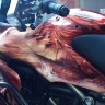 Аэрография и покраска Ducati Multistrada