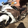 Аэрография и покраска мотоцикла Honda CBR1100XX BlackBird