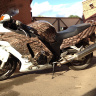 Аэрография и покраска мотоцикла Honda CBR1100XX BlackBird