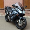 Аэрография и покраска Honda VFR 800