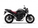 FZ-6N