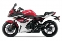 FZ-6R