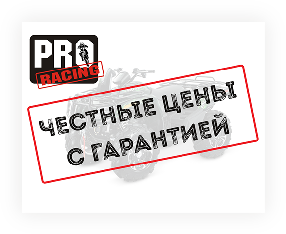 профессиональный ремонт
